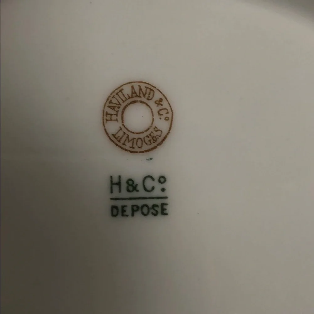 1880's HAVILAND & CO. LIMOGES H&CO DEPOSE